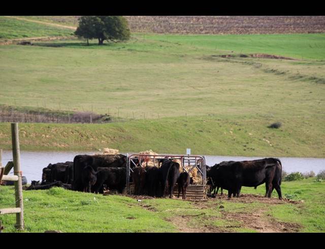235HA FARM FOR SALE IN MALMESBURY RURAL